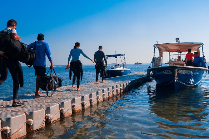 Dive trip to the coral reefs of Fujairah for certified scuba divers - Key points at a glance