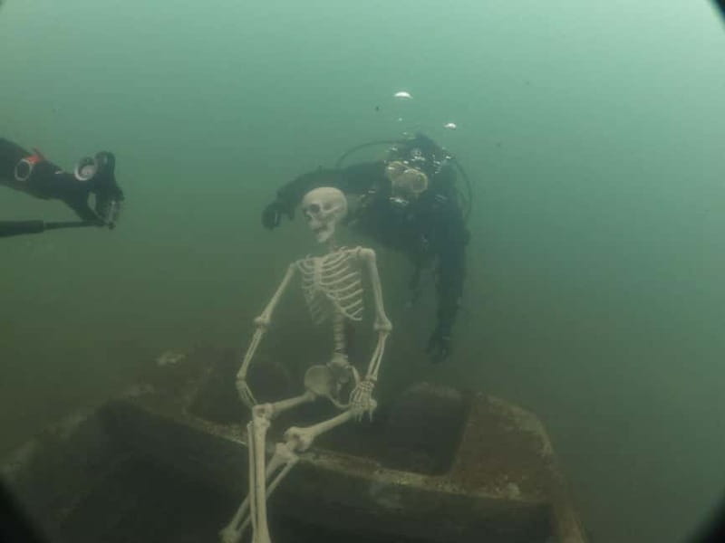 Diving - Who Should Book This Session
