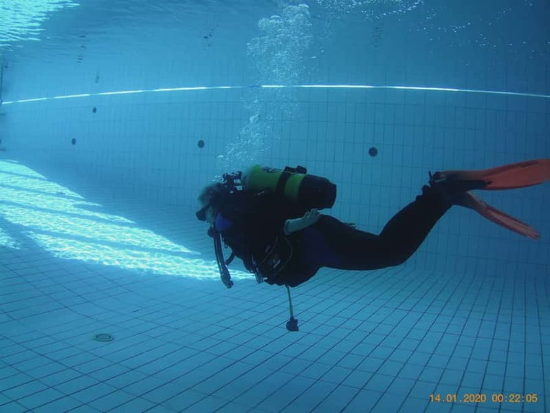 Diving - Practical Timing and Booking Advice