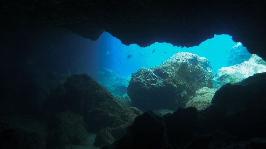 Diving at Lanzarote - 2 guided dives for certified divers - Should You Book This Lanzarote Underwater Tour?
