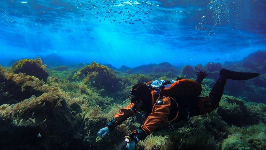 Diving at Lanzarote - 2 guided dives for certified divers - Equipment, Insurance, and What the $94 Covers