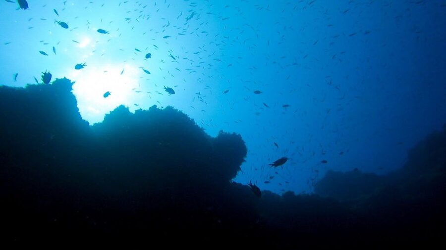 Diving at Lanzarote - 2 guided dives for certified divers - Safety, Health, and Certification Rules