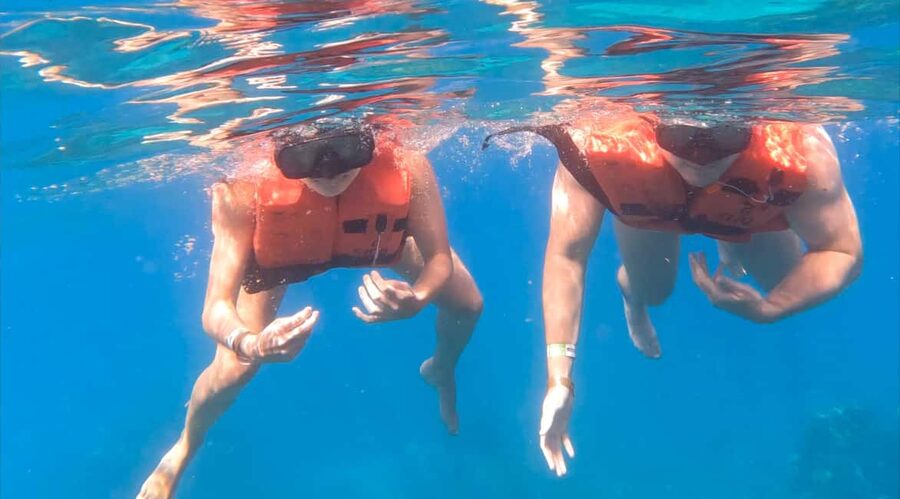diving catalina island from punta cana - Aquarium for the second 40 to 45-minute session