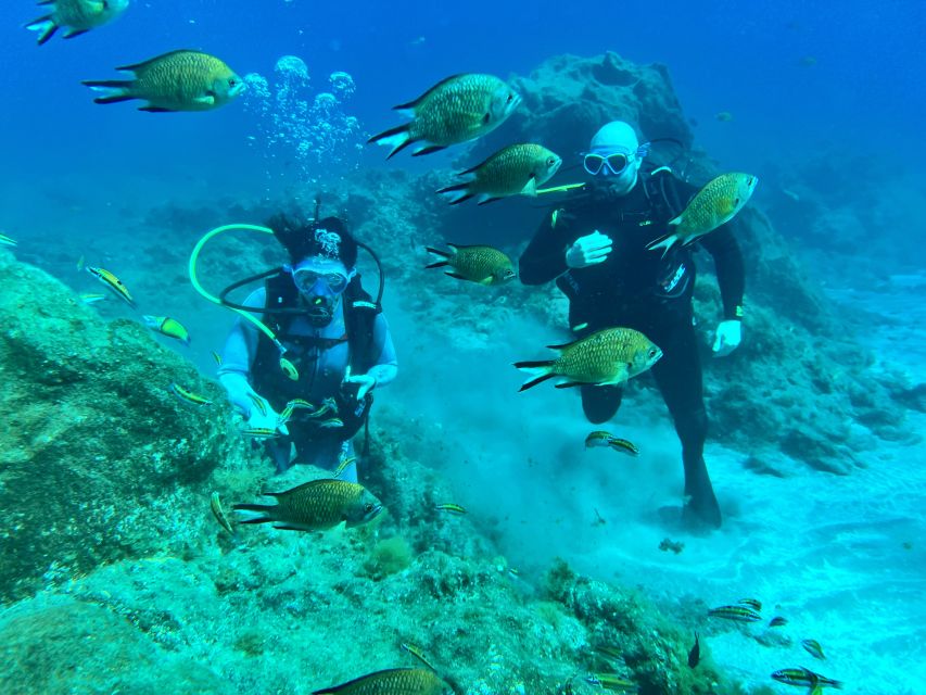 Diving course for beginners in turtle area Tenerife - Starting at Abades beach