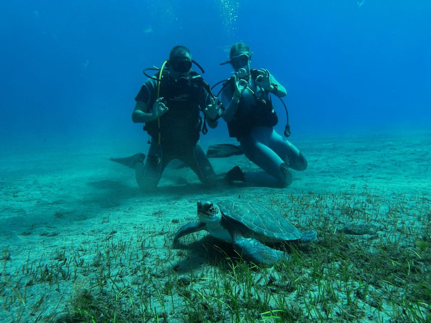 Diving course for beginners in turtle area Tenerife - First steps in shallow water