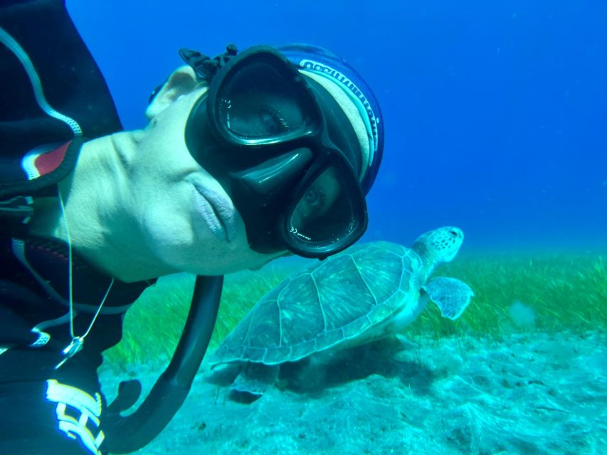 Diving course for beginners in turtle area Tenerife - Meeting Tenerife’s Atlantic sea life