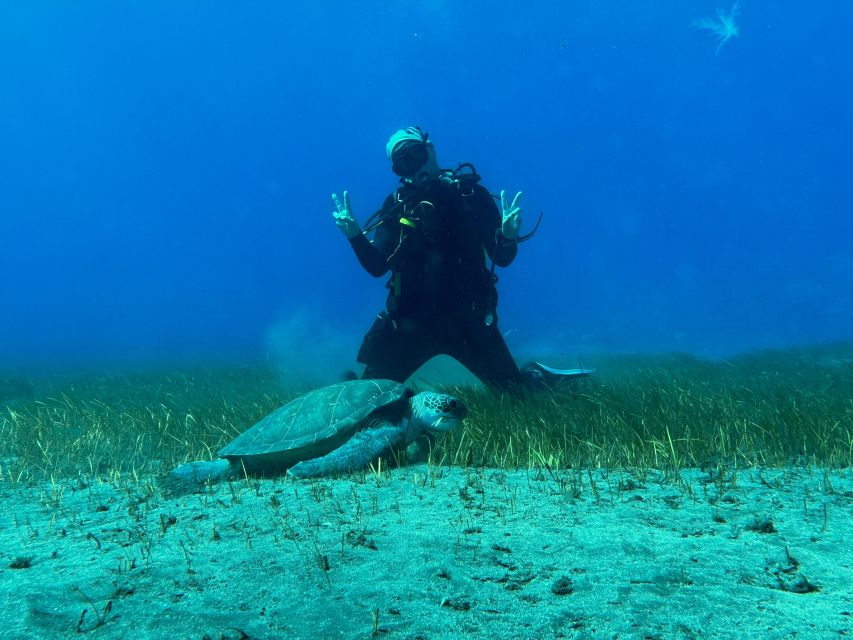 Diving course for beginners in turtle area Tenerife - What the instructor support is like