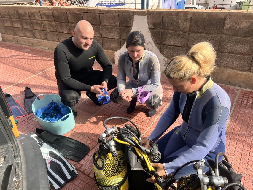 Diving course for beginners in turtle area Tenerife - What the $100 price includes