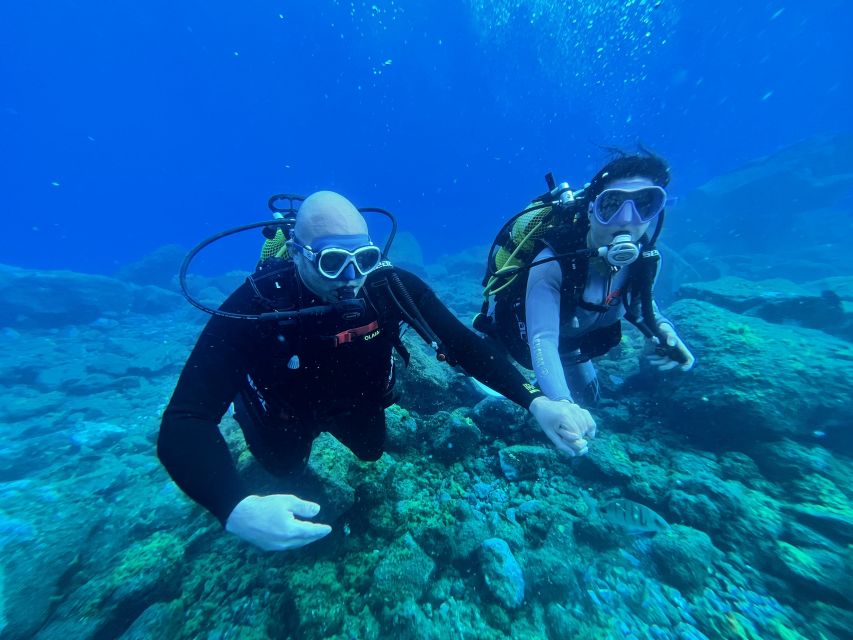 Diving course for beginners in turtle area Tenerife - Learning the basics before entering the sea