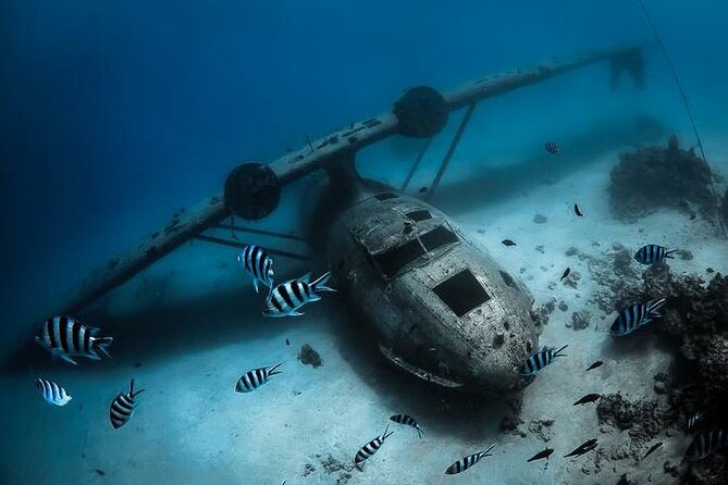 Diving day - What the four-hour schedule feels like