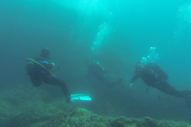 Diving for patented divers - What the €157.28 price includes in practical terms