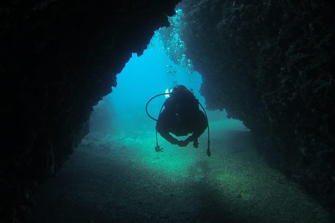 Diving for patented divers - Who will get the most from this outing
