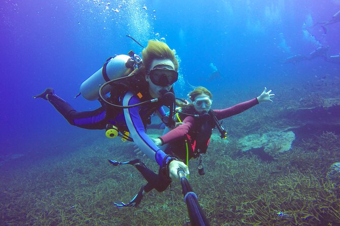 Diving Full Day 2 Stops Boat Trip For Beginners With Lunch and Transfer–Hurghada - Lunch, waiting time, and the second stop