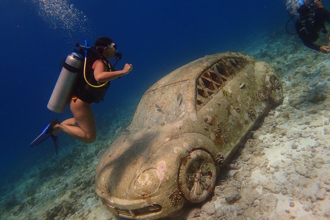Diving in Cancun for Certified Divers | 2 Dives | All Inclusive - MUSA and Cancun reefs in one morning