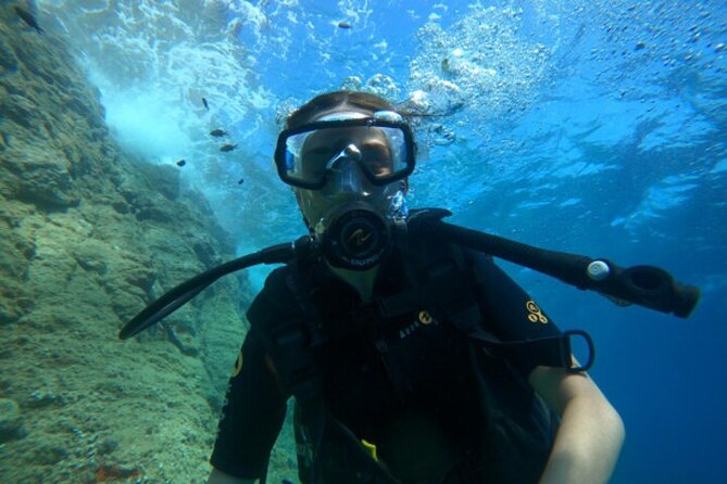 Diving in the Calanque Saint-Barthélemy - Key points to know before booking
