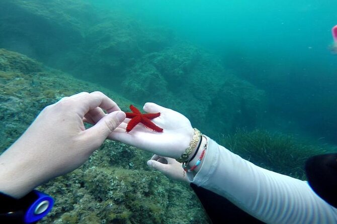 Diving in the Calanque Saint-Barthélemy - Practical preparation for the meeting point
