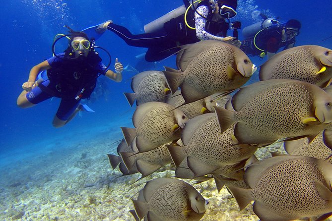 Diving in the Mexican Caribbean for Beginners | 2 Tanks 2 Dives | All Inclusive - Pool practice before the open sea