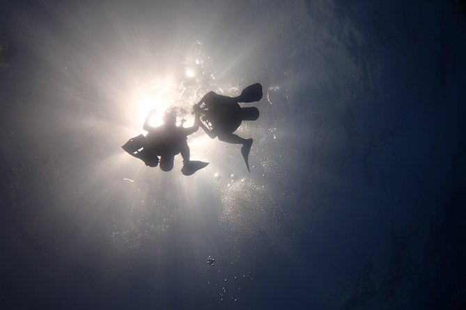 Diving in the Mexican Caribbean for Beginners | 2 Tanks 2 Dives | All Inclusive - First stop: MUSA and its underwater sculptures