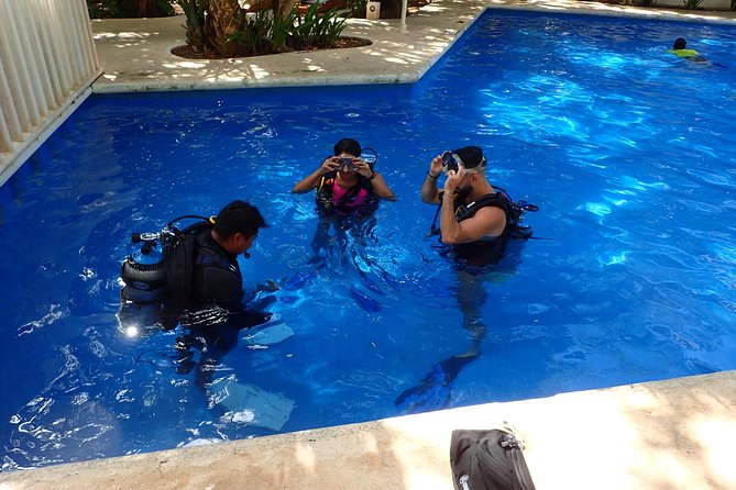 Diving in the Mexican Caribbean for Beginners | 2 Tanks 2 Dives | All Inclusive - Second stop: a natural reef with tropical life