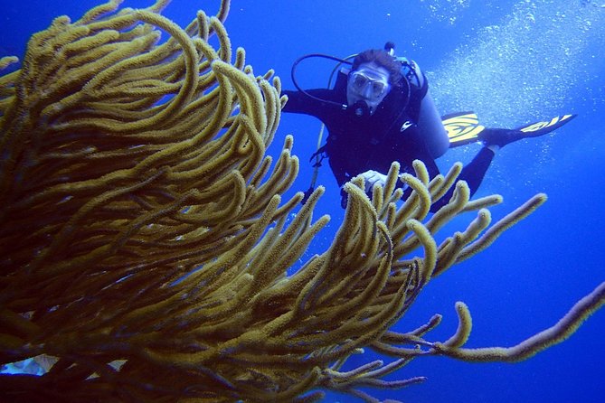 Diving in the Mexican Caribbean for Beginners | 2 Tanks 2 Dives | All Inclusive - What the six-hour schedule really feels like