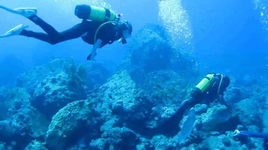 Diving in the North with Blue World Adventures - Key points to know before you book