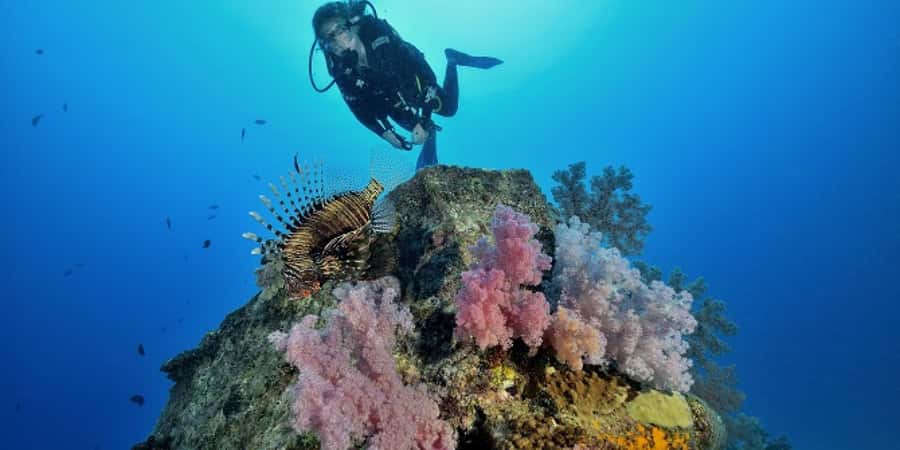 Diving in the North with Blue World Adventures - Heading out along the northern coast