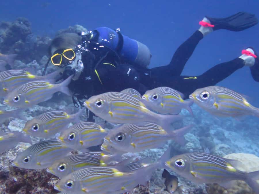 Diving in the North with Blue World Adventures - Booking flexibility and practical limits