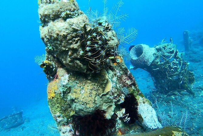 Diving in Tulamben - Why Tulamben’s wreck is worth the long ride