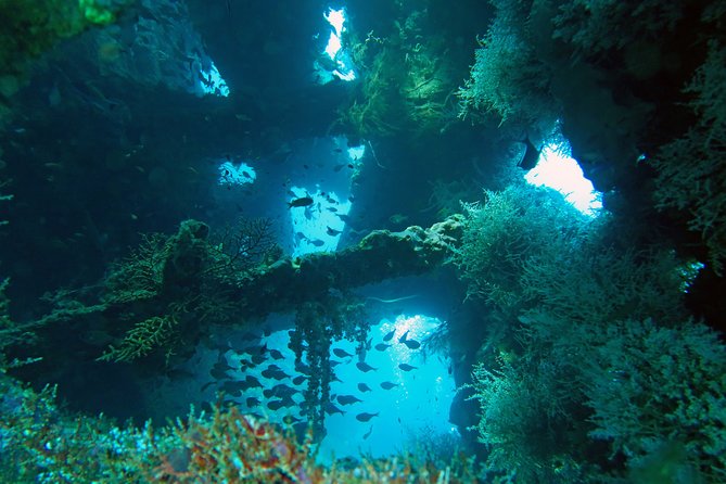 Diving in Tulamben - What the $87 price really covers