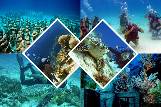 Diving + Muse - Physical requirements and preparation