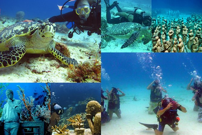 Diving + Muse - Who should book this Cancun outing?