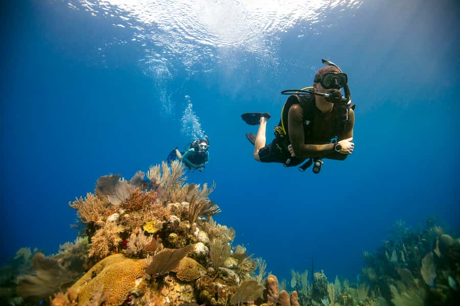 Diving Santa Marta & Tayrona for Certified Divers (2 tanks) - Reaching Tayrona from Santa Marta by boat