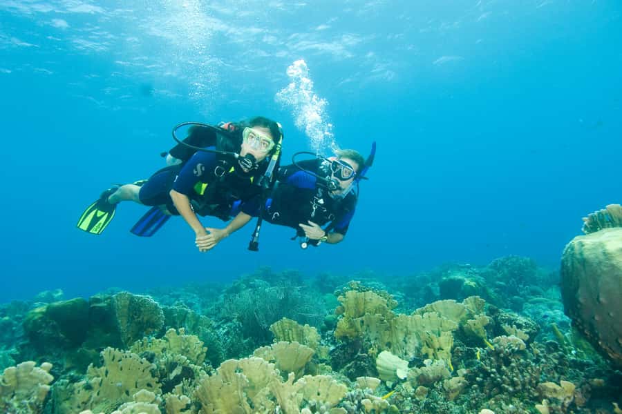 Diving Santa Marta & Tayrona for Certified Divers (2 tanks) - Who will get the most from this Santa Marta outing