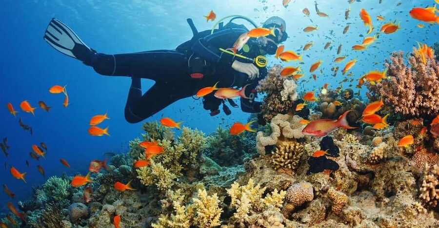Diving Tour from Alanya & Side with Lunch - 2 Dives Included - Weather, boat comfort, and the small details