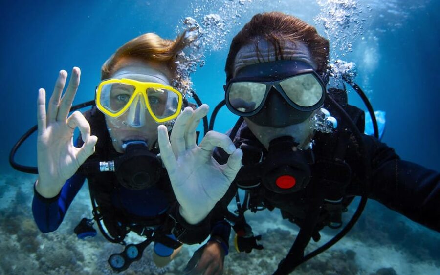 Diving Tour from Alanya & Side with Lunch - 2 Dives Included - The transfer from your hotel can shape the day