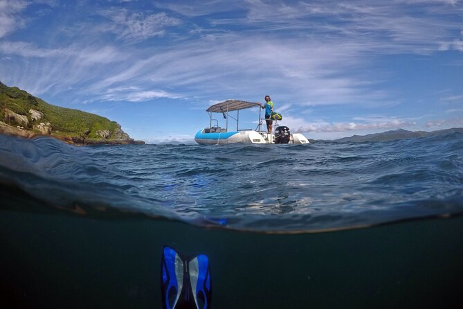 Diving with Turtles in Floripa - Key points before you book
