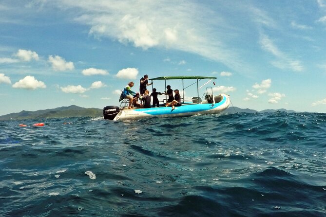 Diving with Turtles in Floripa - Barra da Lagoa and the natural pools