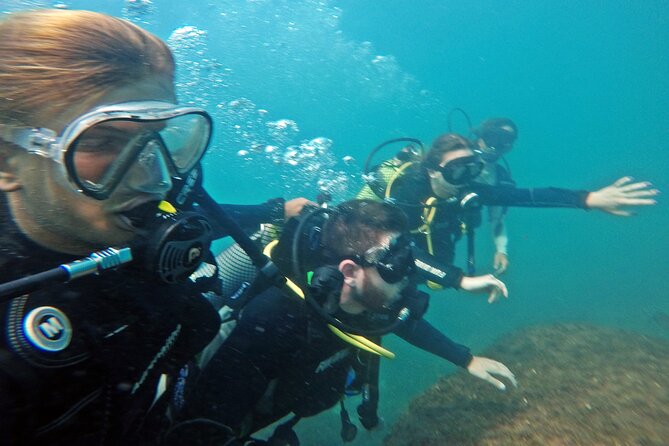 Diving with Turtles in Floripa - Snorkeling, rest, and the fruit break
