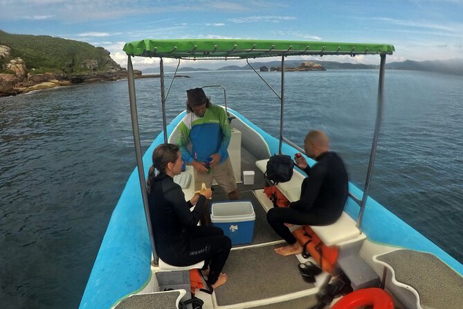Diving with Turtles in Floripa - A sensible approach to changing sea conditions