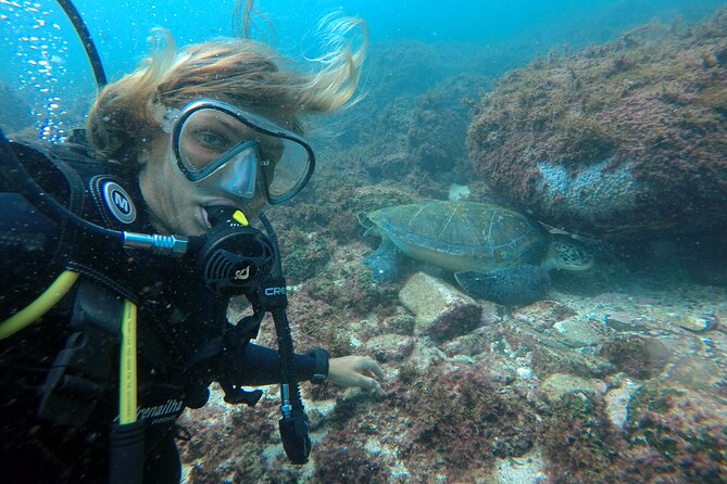 Diving with Turtles in Floripa - The boat ride toward Xavier Island