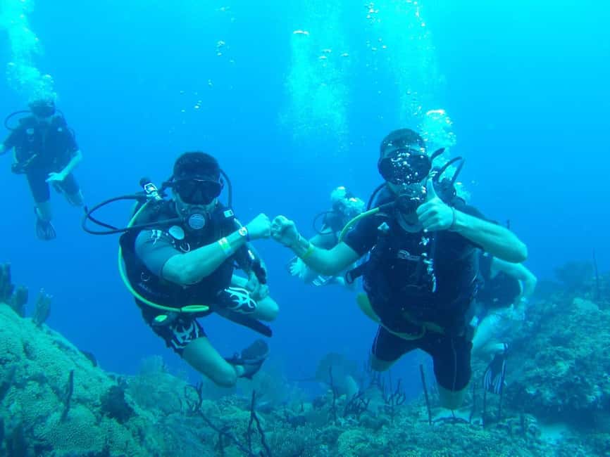 diving without a license catalina island from punta cana - The Wall and Aquarium, two different underwater stops