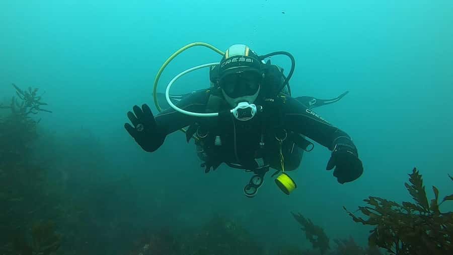 Double Boat Dive with Equipment - Value for your time and booking flexibility
