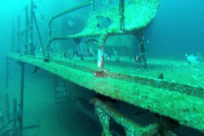 Double Dive the Fantastic Ocean Revival Park - What the Four-Hour Schedule Means for You
