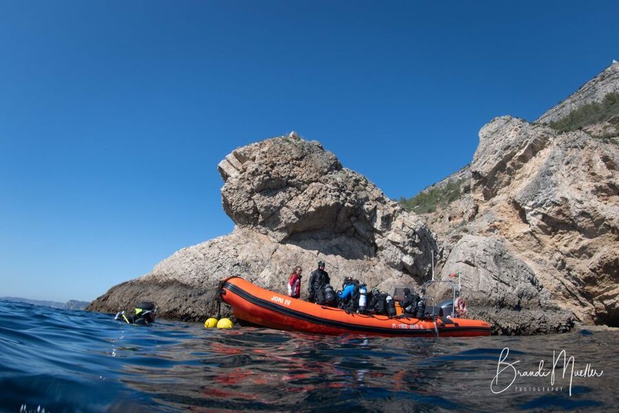 Double Scuba Dive on a Marine Reserve - Key points to know before booking