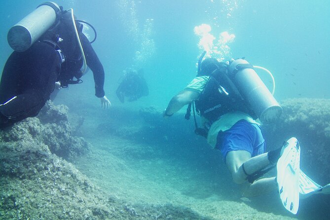 Double Shore Dive (certified divers) - Weather changes can work in your favor
