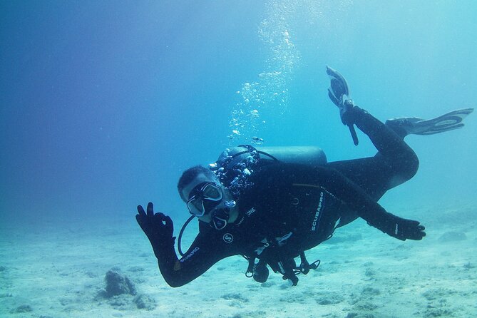 Double Shore Dive (certified divers) - Choosing among Vouliagmeni, Katafygi Bay, Legrena, and Porto Ennia