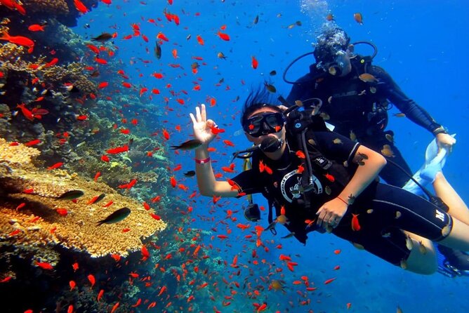 Dream to Dive full Course & private Dive Instructor PADI - Two open-water sessions near Red Sea reefs