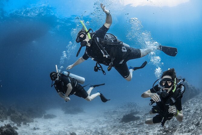 Dream to Dive full Course & private Dive Instructor PADI - Makadi Bay or El Gouna: which location suits you?