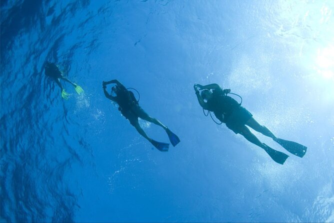 Dream to Dive full Course & private Dive Instructor PADI - Why a private instructor changes the experience