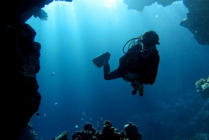 Dream to Dive full Course & private Dive Instructor PADI - What the transport and included equipment mean
